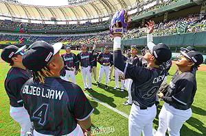 備戰WBC！中華隊被評晉級機率勝南韓  MLB官網：有望前進邁阿密