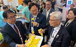財經