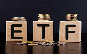 137.5萬存股族嗨了！00919預估配息衝1.1元創新高  9/15日為最後買進
