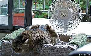 周末高溫BACK！中秋才會再現「初秋涼感」