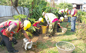 每個月都要清！台中總動員嚴防登革熱