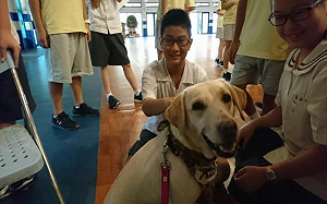 浪浪別哭！北市推校園認養流浪犬貓