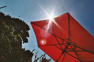 受偏東風影響　東部、北部山區有雨