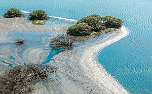 「讓時間有風景，讓日常有自然」 2026年國家公園月、桌曆登場