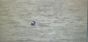 海巡隊員假養病真撈錢將遭汰除   管碧玲：優秀的團隊，不容害群之馬！