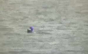 海巡隊員假養病真撈錢將遭汰除   管碧玲：優秀的團隊，不容害群之馬！