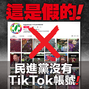 TikTok出現「民進黨團宣發部」帳號  綠：完全是假的