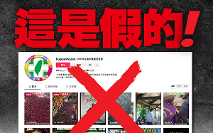 TikTok出現「民進黨團宣發部」帳號  綠：完全是假的