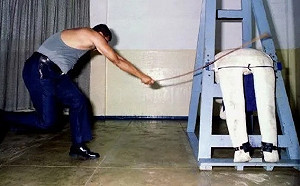 TVBS民調：七成民眾贊成台灣效法新加坡以鞭刑處罰詐騙