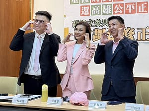 投書》藍天進不去的綠地-高雄，點評四位民進黨市長參選人