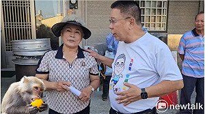 滿山滿谷野猴肆虐農作物遭殃　農民怒喊：欲哭無淚