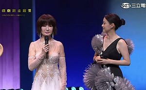 金鐘60收視出爐！潘迎紫創最高點 節目類「他們」最吸睛