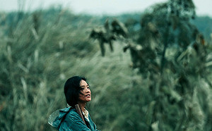 轉發舔共文無效！舒淇新片中國上映3小時即遭撤  創「史上最短命電影」紀錄