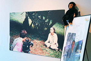 《珍與科博》紀念展開幕！珍古德博士與科博館三十年情緣再現