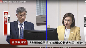豬瘟成政治攻防新題材 邱議瑩轟:盧秀燕賠得起嗎?