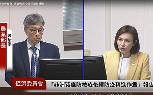 豬瘟成政治攻防新題材 邱議瑩轟:盧秀燕賠得起嗎?