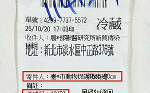 該做的都做了?台中市府「宅配送豬瘟檢體」收據曝光 挨轟「擺爛」