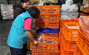 台中豬瘟波及嘉義!嘉義衛生局證實:已賣完無樣可採
