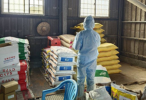 高市全面禁止廚餘養豬  所有再利用養豬場未來均改用飼料餵飼