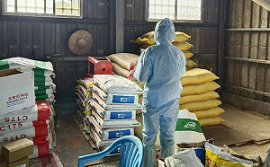 高市全面禁止廚餘養豬  所有再利用養豬場未來均改用飼料餵飼