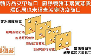 非洲豬瘟入侵台中  吳佩芸:環保局讓病毒穿越起司關卡