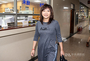 京華城及政治獻金案 北院傳喚戴利玲、張景森作證