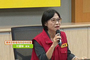 台中市府初步疫調有缺失!應變中心:首隻非洲豬瘟病發豬死亡日恐非10/10