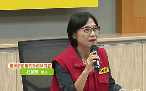 台中市府初步疫調有缺失！應變中心：首隻非洲豬瘟病發豬死亡日恐非10/10