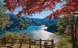 台北國際旅展11/7開跑!東京展區「三大亮點」一次看