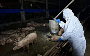 疑無照電話問診王姓獸醫佐回國應訊!台中地檢署訊後請回