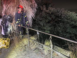 台中女騎機車失控撞護欄翻落邊坡 全身擦傷送醫