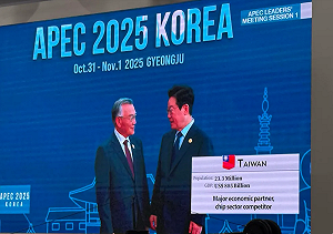 APEC峰會南韓登場  林信義進場時「Taiwan」及中華民國國旗都露出