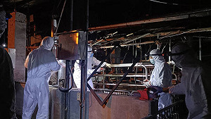 台中市府群組宣傳防疫表現!慘遭在地人洗臉:無能又失職