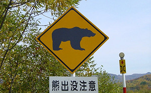 日本熊害影響擴大 合掌村附近楓葉點燈喊停