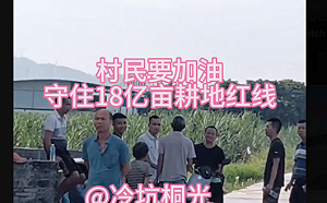 (影) 中國多地爆發群體抗暴! 海南國企偷砍檳榔田引爆動 山東工廠欠薪遭火焚