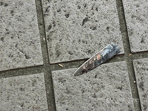 新北男疑感情糾紛　持刀傷害姊妹後墜樓亡