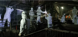 台中市府「擅自清消」破壞非洲豬瘟防線！教授怒轟：這是公然挑釁防疫體系