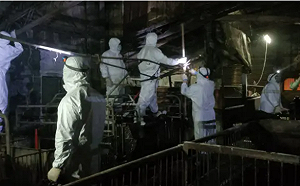 台中市府「擅自清消」破壞非洲豬瘟防線！教授怒轟：這是公然挑釁防疫體系