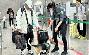 金門小三通今年已查獲15起「中國豬肉」！高雄關：將加強查緝