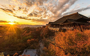 高雄國小畢旅「5天5千元玩京阪」掀熱議！旅日達人給行程6建議　校長親回感激