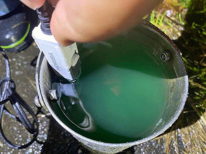 宜蘭三星農田水變深綠色！竟是「誤倒食用色素」進水溝導致