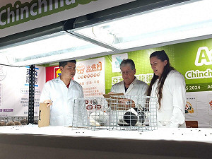 奴才們集合囉！台中寵物展毛孩嘉年華 龍貓比賽同步登場