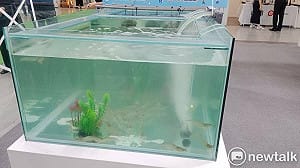 中國新病毒會「蝦傳人」害失明？醫喊話：已有成熟療法勿恐慌