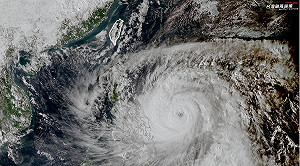 鳳凰成長速度驚人！專家曝：超大體積已是「好幾個台灣大」