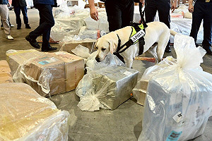 全球83疫區、亞洲占20國　農業部：「非洲豬瘟」境外病毒仍是最大威脅