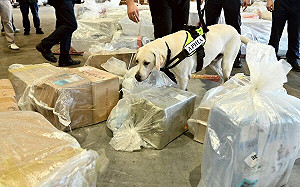 全球83疫區、亞洲占20國　農業部：「非洲豬瘟」境外病毒仍是最大威脅