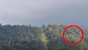 (影)空中驚險！埔里飛行傘相撞墜林  2傘友掛樹脫困疑誤判路線釀禍