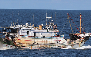 鳳凰襲台 台權會籲：政府與產業採預防措施  保護漁船工作者 不可要求漁工顧漁船