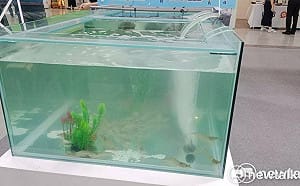 中國新病毒會「蝦傳人」害失明？醫喊話：已有成熟療法勿恐慌