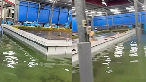 宜蘭釣蝦場淹水釣客超淡定！網笑稱：根本沉浸式釣蝦